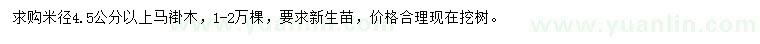 求购米径4.5公分以上马褂木