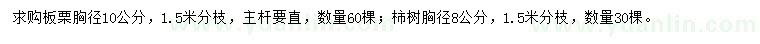 求购胸径10公分板栗、胸径8公分柿树