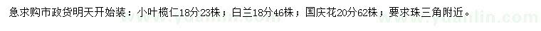 求购小叶榄仁、白兰、国庆花