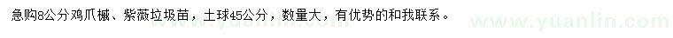 求购8公分鸡爪槭、紫薇