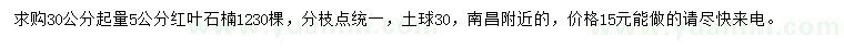 求购30量5公分红叶石楠