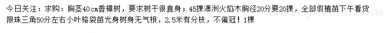 求购香樟树、澳洲火焰木、小叶榕