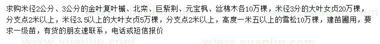 求购金叶复叶槭、北栾、巨紫荆等