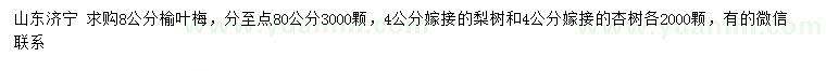 求购榆叶梅、梨树、杏树