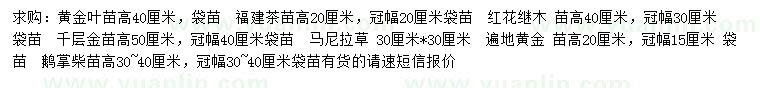 求购黄金叶、福建茶、红花继木等