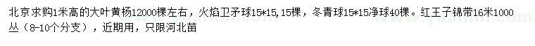 求购大叶黄杨、火焰卫矛球、冬青球等