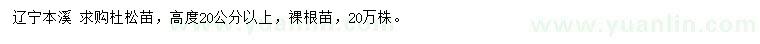 求购高20公分以上杜松苗