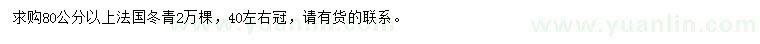 求购80公分以上法国冬青