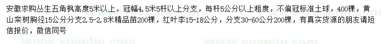 求购丛生五角枫、黄山栾、红叶李