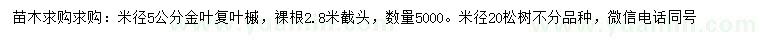 求购米径5公分金叶复叶槭、20公分松树