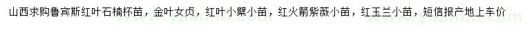 求购红叶石楠、金叶女贞、红叶小檗等