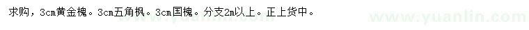 求购黄金槐、五角枫、国槐