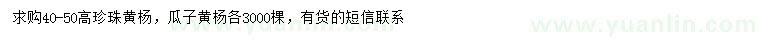 求购高40-50珍珠黄杨、瓜子黄杨