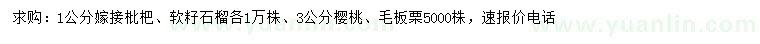 求购嫁接枇杷、软籽石榴、樱桃等