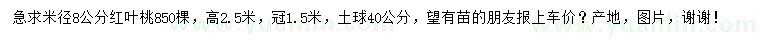 求购米径8公分红叶桃