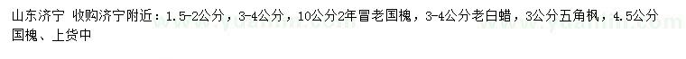 求购老国槐、老白蜡、五角枫等