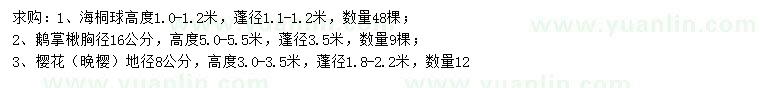 求购海桐球、鹅掌楸、樱花