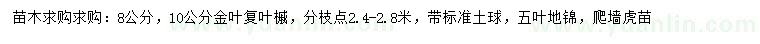 求购金叶复叶槭、五叶地锦、爬墙虎苗