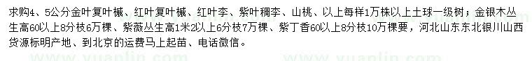 求购金叶复叶槭、红叶复叶槭、红叶李等