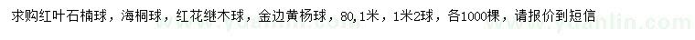 求购红叶石楠球、海桐球、红花继木球等
