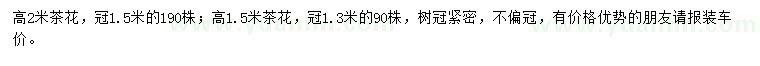 求购高1.5、2米茶花