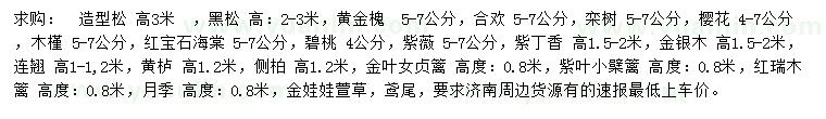 求购造型松、黄金槐、栾树等