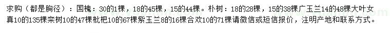 求购国槐、朴树、广玉兰