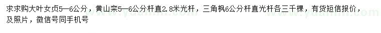 求购大叶女贞、黄山栾、三角枫