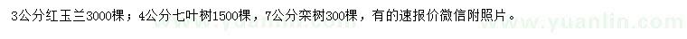 求购红玉兰、七叶树、栾树