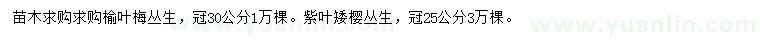 求购冠幅30公分丛生榆叶梅、冠幅25公分丛生紫叶矮樱