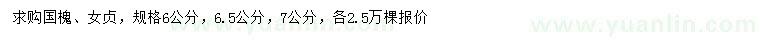 求购6、6.5、7公分国槐、女贞