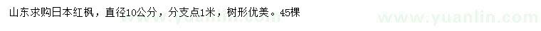 求购直径10公分日本红枫