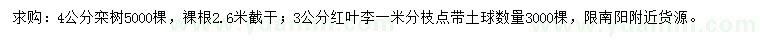 求购4公分栾树、3公分红叶李