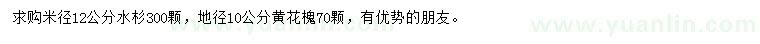 求购米径12公分水杉、地径10公分黄花槐