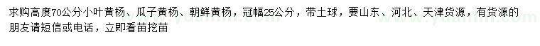 求购小叶黄杨、瓜子黄杨、朝鲜黄杨