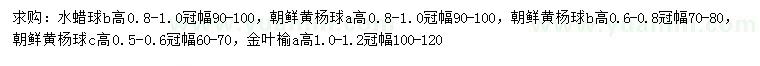 求购水蜡球、朝鲜黄杨球、金叶榆