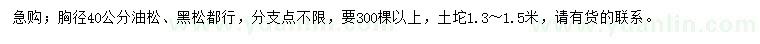 求购胸径40公分油松、黑松