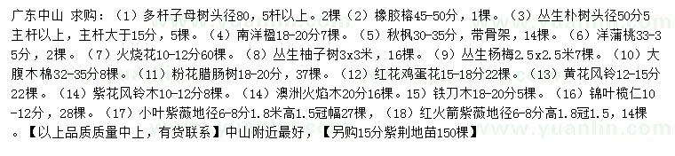 求购多杆子母树、橡胶榕、丛生朴树等