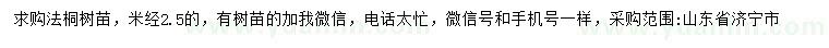 求购米径2.5公分法桐树苗