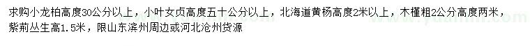 求购小龙柏、小叶女贞、北海道黄杨等