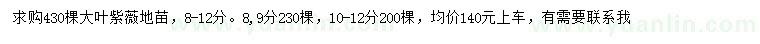 求购8-12公分大叶紫薇地苗