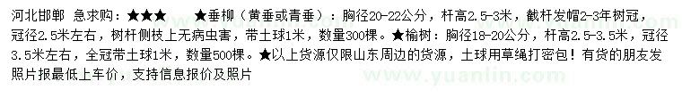 求购胸径20-22公分垂柳、18-20公分榆树