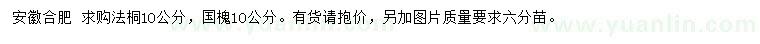 求购10公分法桐、国槐