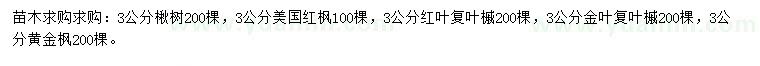 求购楸树、美国红枫、红叶复叶槭等