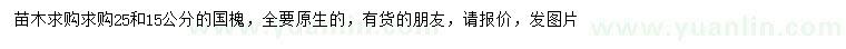 求购15、25公分国槐