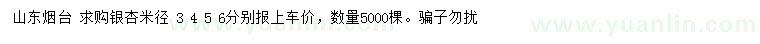 求购米径3、4、5、6公分银杏