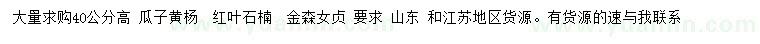 求购瓜子黄杨、红叶石楠、金森女贞等