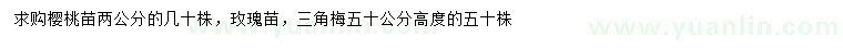 求购樱桃苗、玫瑰苗、三角梅