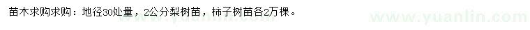 求购地径30处量2公分梨树苗、柿子树苗