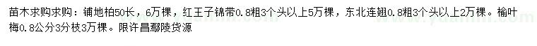 求购铺地柏、红王子锦带、东北连翘等